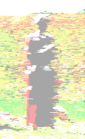 Seelenverluste