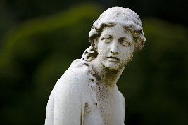 Die Vergangenheit bestimmt das Überleben